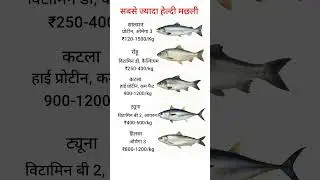 Which is the healthiest fish | सबसे हेल्दी मछली #gk #fish #short #youtube