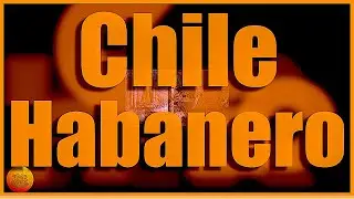 ChileHabanero