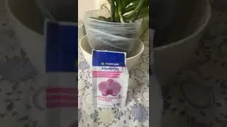 Подкармливаю орхидеи