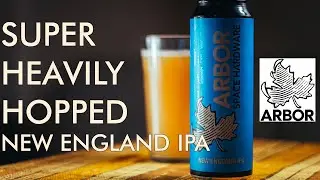 Craft Beer Review: Arbor Ales Space Hardware