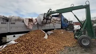HARALLAR DEVRİLDİ REZİLLİK VAR PATATES EKİMİNE HAZIRLIK