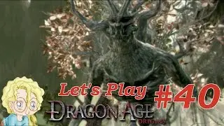 The Grand Oak's Acorn - (40) Let's Play Dragon Age: Origins