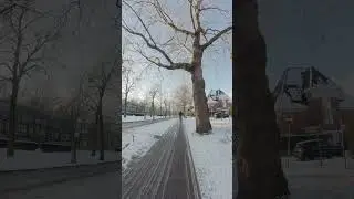 Snowy bike ride on the Apollolaan | Amsterdam