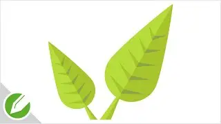 Bright Leaf Drawing with CorelDraw | Flat Vector Style | Drawing | CorelDraw Tutorial