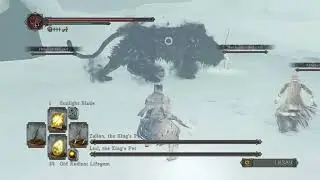 DARK SOULS II: PS5 Zallen and Lud the King's Pet