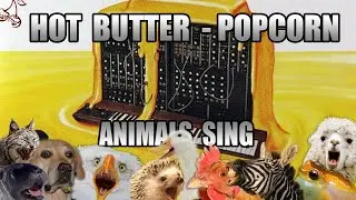 Hot Butter - Popcorn (Animal Cover)