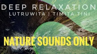 Deep Sleep in the Tasmanian Rainforest: Timita Tini (Mersey Forest) NATURE SOUND ONLY (1 Hour)