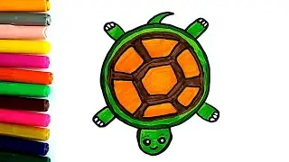 Drawing and Colouring a Tortoise 🐢