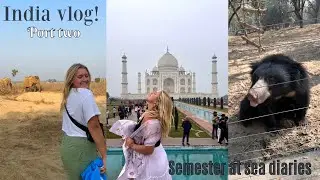 India vlog! || Cochin, Delhi, Agra, and visiting the Taj Majal || SEMESTER AT SEA DIARIES!