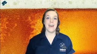 Beer & Cheese Pairing Experience