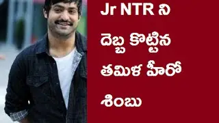 Jr NTR  Temper Telugu movie not Released in Kollywwod | Simbu