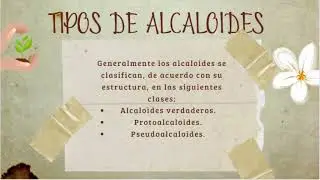 Alcaloides