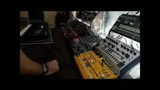 1st live session (Acid 4)