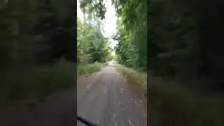 Podróż do Tigerpark Klosterwald Zoo 34 km 