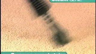 Steam Genie