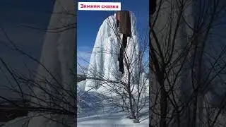 зимняя сказка
