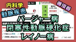 【循環器-動脈疾患】バージャー病・閉塞性動脈硬化症・レイノー病【理学療法士・作業療法士】