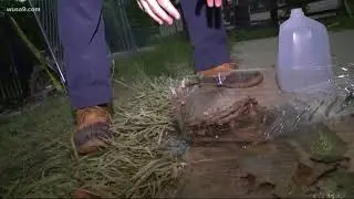How did the flooding happen in Ellicott City