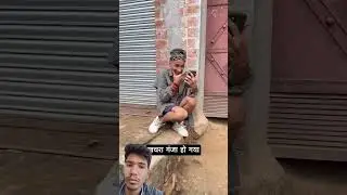 #comedy #majedar #sports #video #viral🤣🤣🤣🤣🤣