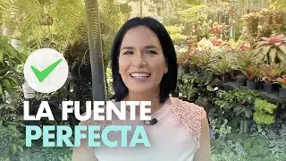 Cascadas y FUENTES de agua para jardin | Mejores ideas para escoger😍⛲️   Ellen Te Dice
