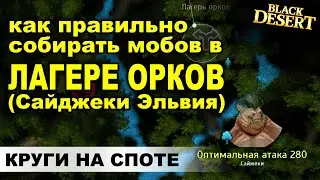 📌САЙДЖЕКИ (Эльвия): 400кк+/1ч ТОП Споты для фарма серебра в BDO - Black Desert