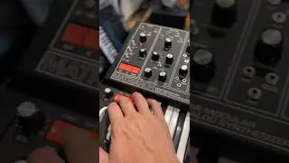 Berlin School with Moog Matriarch