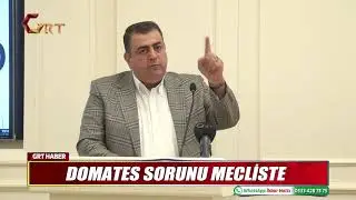 DOMATES SORUNU MECLİSTE