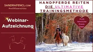 💖🐎 Handpferde Reiten - Pferdetrainings-Webinar-Aufzeichnung 🐎✨