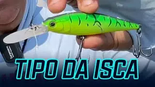 Como pescar tucunar&eacute; no ver&atilde;o e inverno rigoroso? Tipo da isca! - #DicaYamaha com Johnny Hoffmann