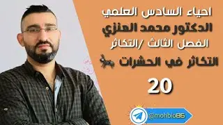احياء السادس العلمي //الفصل الثالث/#التكاثر_في_الحيوانات/ #التكاثر_في_الحشرات // منهج 2024