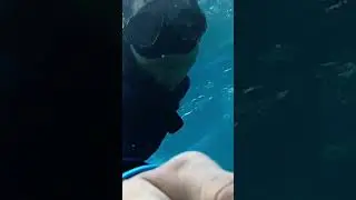 ASMR Bawah Laut 2 #lombok #gilitrawangan #giliair #gilimeno #rinjani