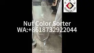 Automatic Optical Nuts Color Sorter Macadamia Kernel Shell Separator Equipment