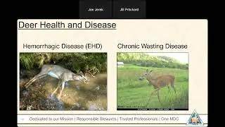 MDC Wild Webcast on Deer Management - September 29, 2025