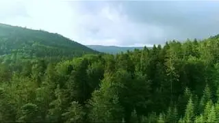 Я у Родины спросила (SN5)