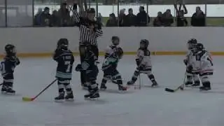 U7 Frankfurter Löwen vs Kassel Huskies movie - 01022020