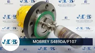 MOBREY S489DA/F107 - Level switch - Livellostati