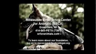 Animal Advocate Television Season 8   Show I
