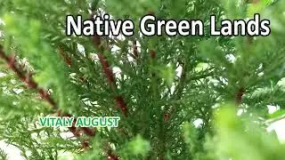 Vitaly August - Native Green Lands
