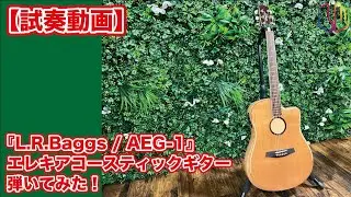 【試奏動画】『L.R.Baggs / AEG-1』エレキアコースティックギター弾いてみた！