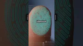 Why Do Humans Have Fingerprints? The Science Behind Our Unique Prints. #learnew #shorts