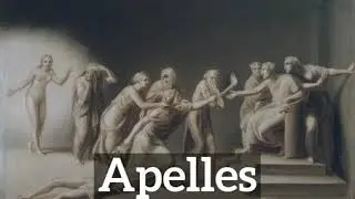 How Do Apelles Look? | How to Say Apelles in English? | What are Apelles?