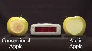 Arctic&reg; Apple 24 Hour Time-Lapse