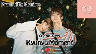 The Boyz Kyunyu Moment #4 - Count On Me / Q and New