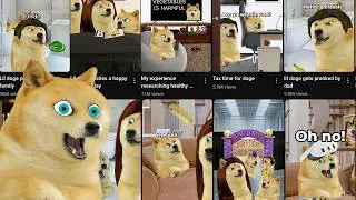All Squillian lil boy doge shorts!