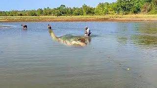 Catching Fish In Abandoned  Lake | Viewer Discretion Is Advised ⚠️