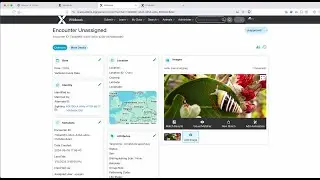 New Encounter Page Layout - Wildbook 10.9