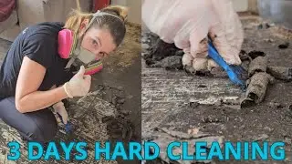 I Spent 3 Days Deep Cleaning a Blind Man&rsquo;s Home (Extreme Floor Cleaning)