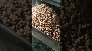 fish feed machine #factory #extrusion #farm #extrudermachine #nigeria #pets #production #africa