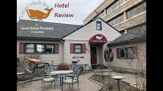 Copper Whale Inn - Eagle's Nest