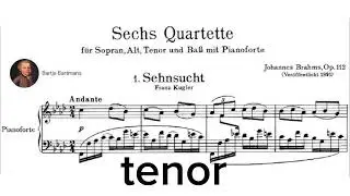 Sehnsucht by Johannes Brahms (Tenor)